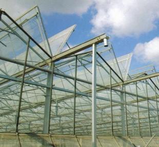 石家莊玻璃溫室與日光溫室大棚建設(shè) 農(nóng)副產(chǎn)品高效生產(chǎn)的關(guān)鍵