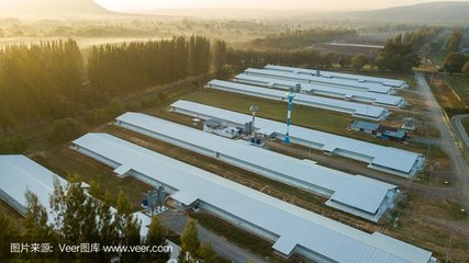 望江縣長江流域農(nóng)副產(chǎn)品冷鏈物流基地建設(shè)項(xiàng)目 推動(dòng)農(nóng)業(yè)現(xiàn)代化與區(qū)域經(jīng)濟(jì)發(fā)展