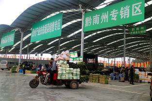 雙龍農副產品交易中心蔬菜交易區試運營，暢通黔貨出山新通道